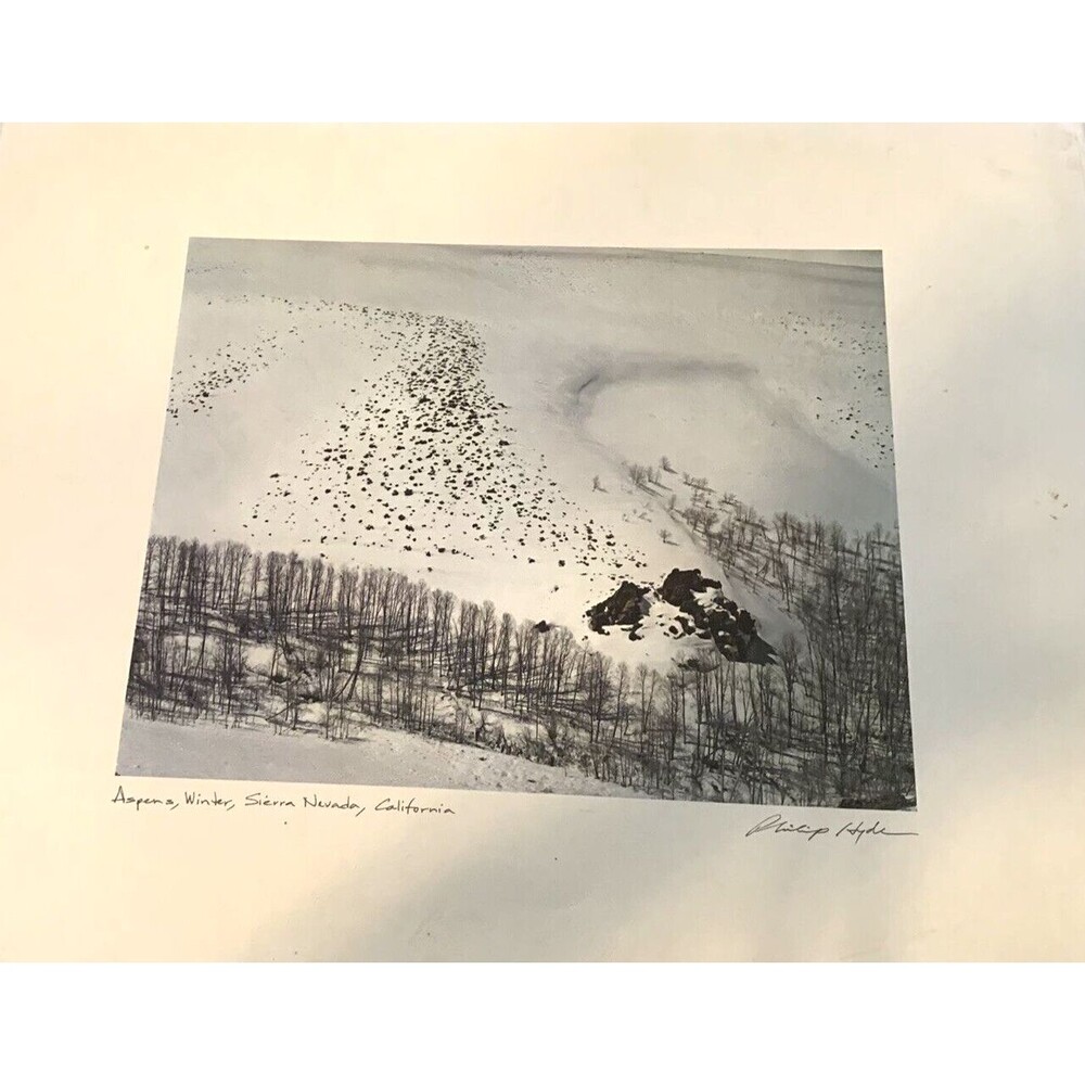 Philip Hyde Aspens Winter Sierra Nevada California Scape Photo Gravure Art 12x13